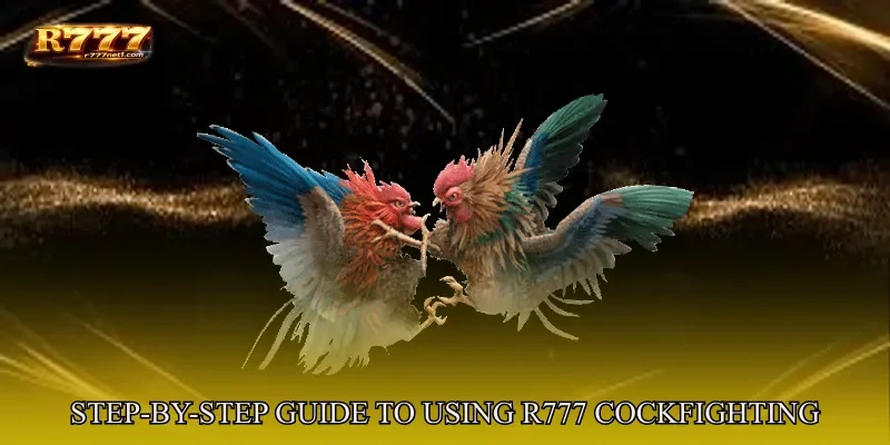 Step-By-Step Guide To Using R777 Cockfighting